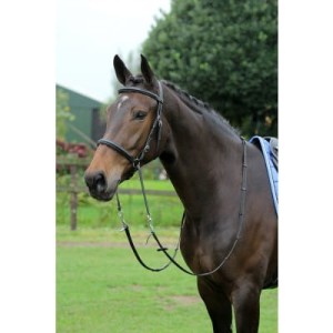 Ogłowie skórzane bezwędzidłowe