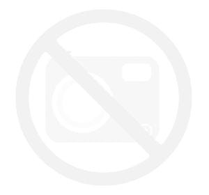 Ogłowie westernowe na dwa ucha