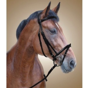 Ogłowie skórzane "Anisa"