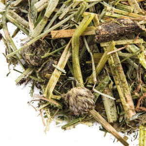Alfibre Digest Melasa Free 15kg - sieczka dla koni wrzodowych