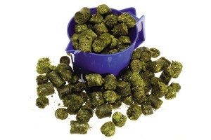 ST HIPPOLYT PreAlpin Wiesencobs 25kg niemelasowe trwokulki dla koni