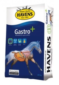 HAVENS Gastro+ 20kg pasz dla koni wrzodowych skłonnych do kolek