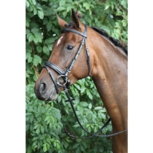 Ogłowie skórzane "Caran" HORKA 