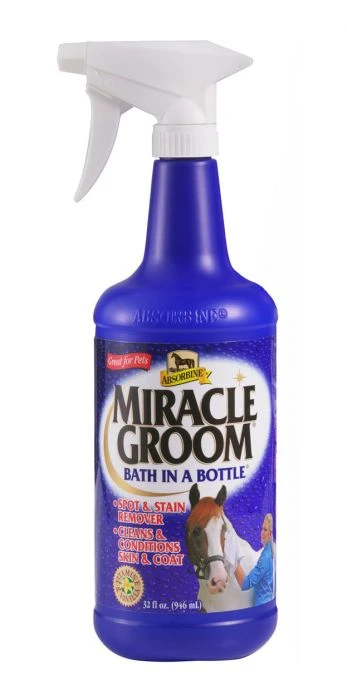 miraclegroom_2.jpg