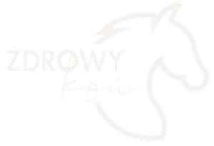 Shoper demo - strona główna
