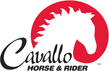 CAVALLO HORSE & RIDER
