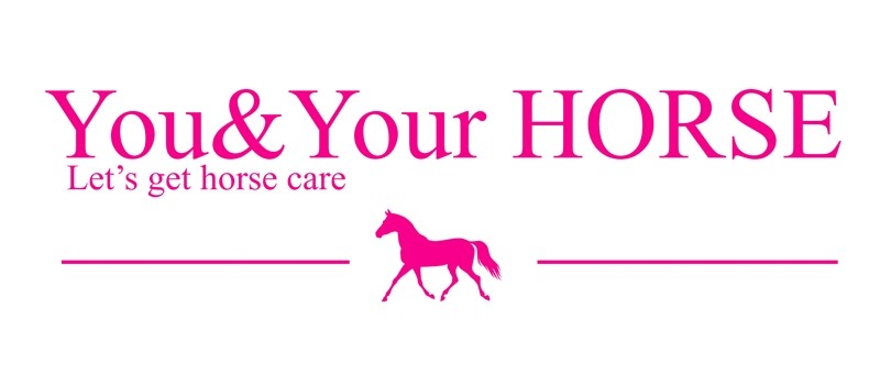 You&Your Horse